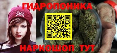 шишки Ирбит